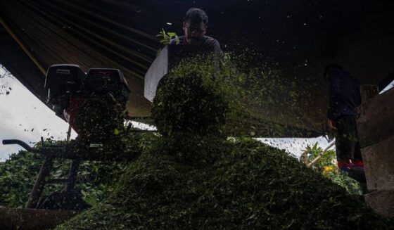 ۔،۔ کولمبیا کی بحریہ نے بیچ سمندر میں ستائیس27 ٹن کوکین ضبط کر لی۔ نذر حسین۔،۔