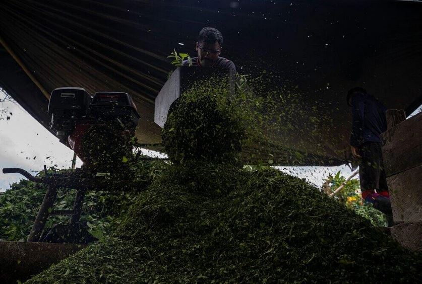 ۔،۔ کولمبیا کی بحریہ نے بیچ سمندر میں ستائیس27 ٹن کوکین ضبط کر لی۔ نذر حسین۔،۔