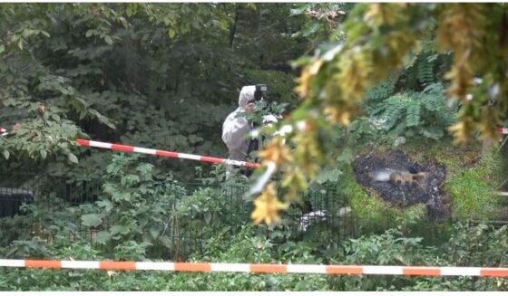 ۔،۔ نوجوان لڑکی کی تشدد زدہ جلی ہوئی لاش جھاڑیوں سے برآمد۔ نذر حسین۔،۔