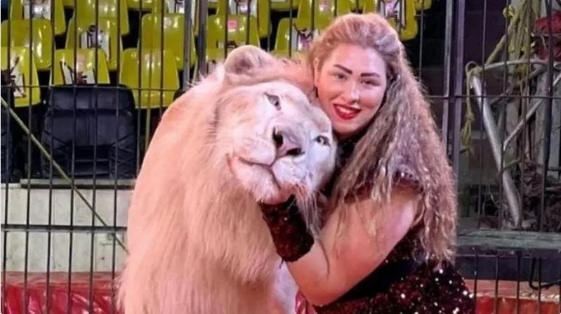 ۔،۔ سرکس کے شیر کے بچے نے تین سالہ بچی پر حملہ کر دیا۔ نذر حسین۔،۔